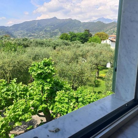 La Madonnina Bed & Breakfast Querceta Exterior photo