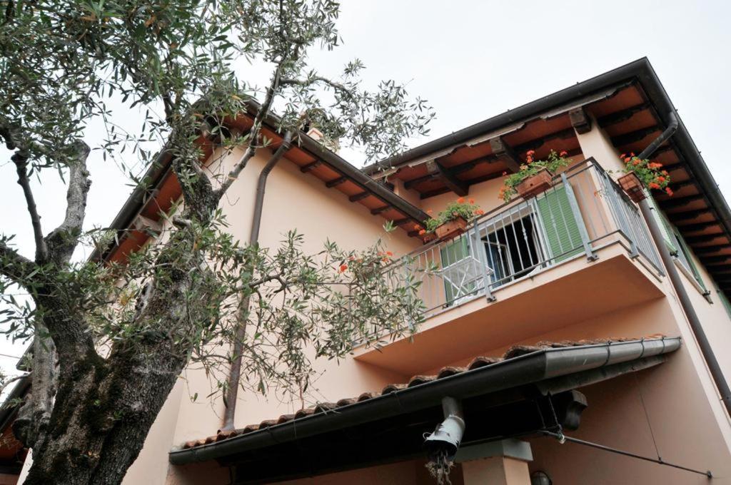 La Madonnina Bed & Breakfast Querceta Exterior photo